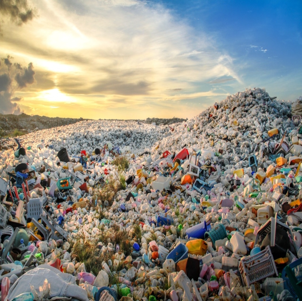 Plastci_Waste